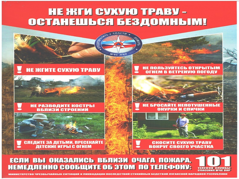 Изображения.