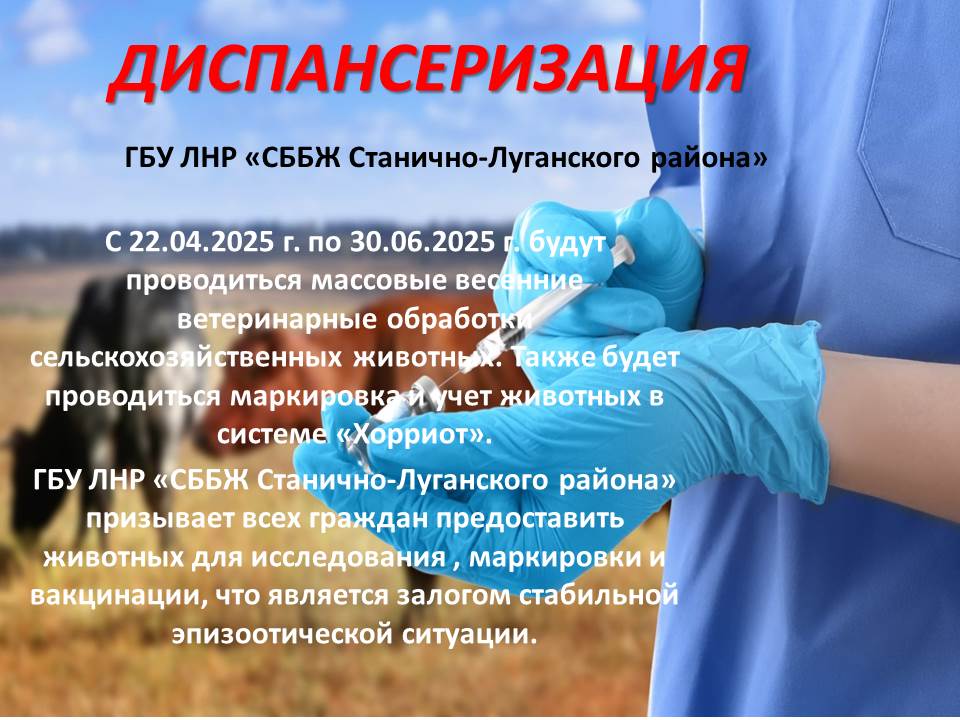 📣ГБУ ЛНР &quot;СББЖ Станично-Луганского района&quot; сообщает‼️  ❗️С 22.04.2025 по 30.06.2025 будут проводиться массовые весенние ветеринарные обработки сельскохозяйственных животных..