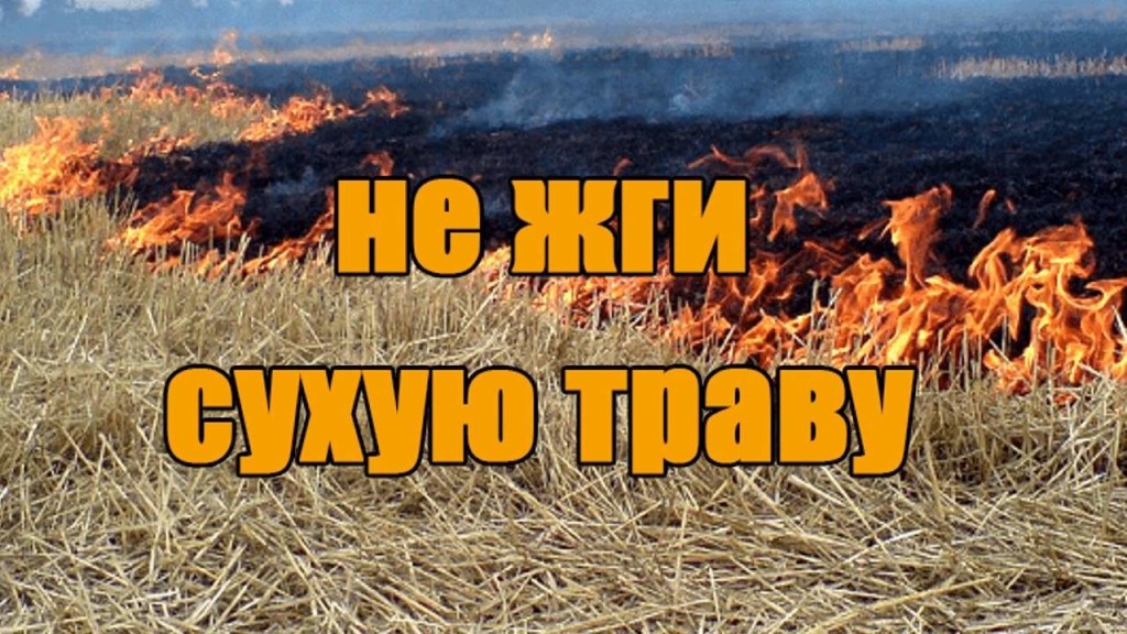 ✅ Вас не коснется беда если вы соблюдаете простые, но действенные правила от МЧС России по ЛНР:.