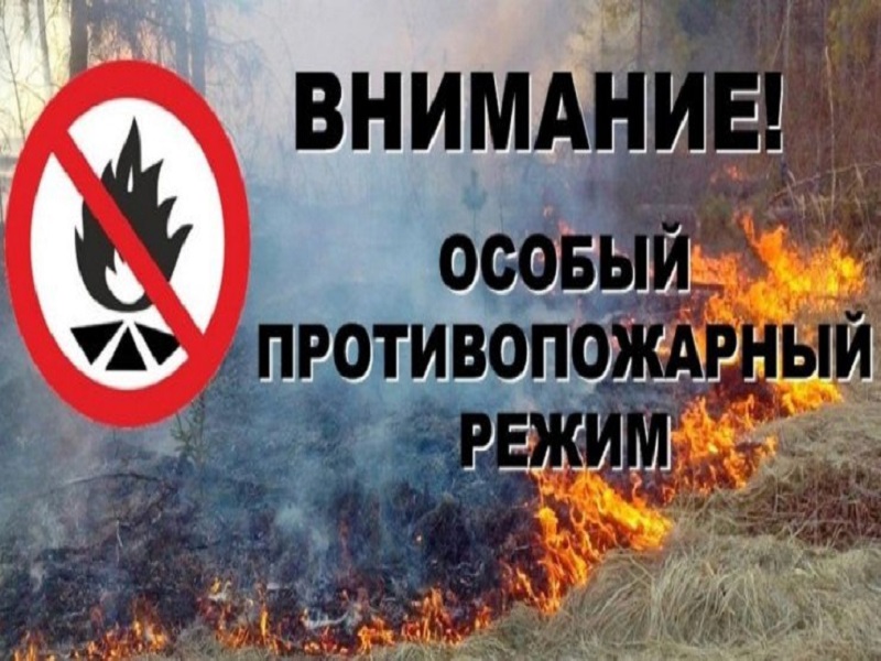 На всей территории Луганской Народной Республики до 31 октября 2025 года установлен особый противопожарный режим.