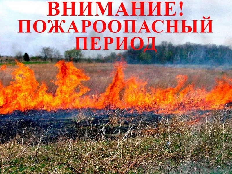🔥 Весеннее пламя: угроза сухостоя  ☎️ГУ МЧС Росси по ЛНР  напоминает об угрозах и последствиях сухотравных пожаров!.
