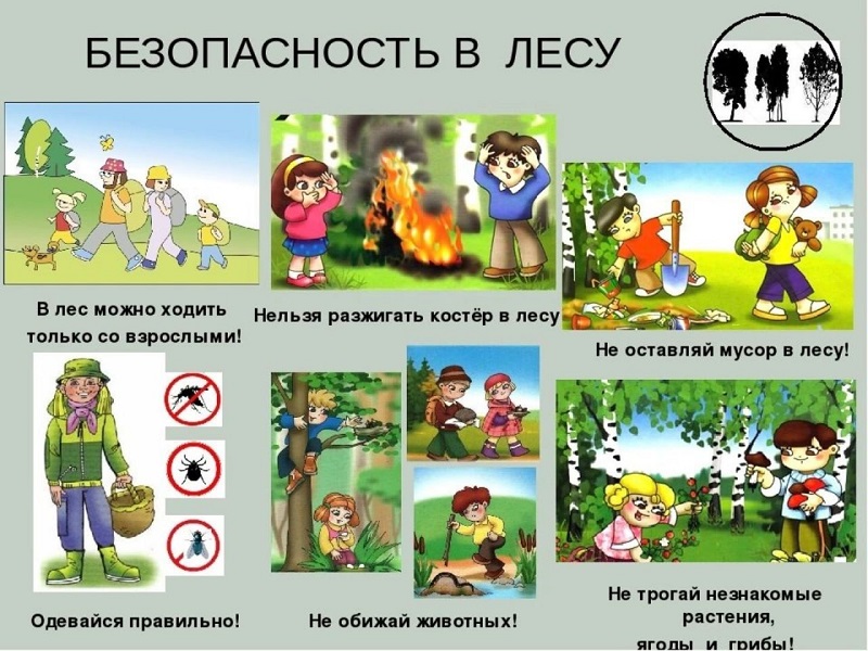 ‼️ Памятки о летней безопасности для детей.