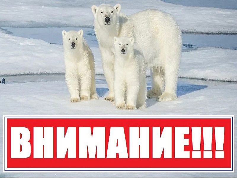 Правительством Луганской Народной Республики ❗️утвержден Порядок регистрации и учета граждан Российской Федерации, выехавших из районов Крайнего Севера и приравненных к ним местностей не ранее 01 января 1992 года..
