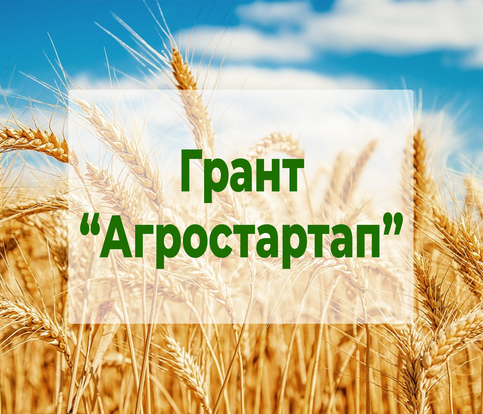 Меры поддержки молодых предпринимателей. Грант «Агростартап».