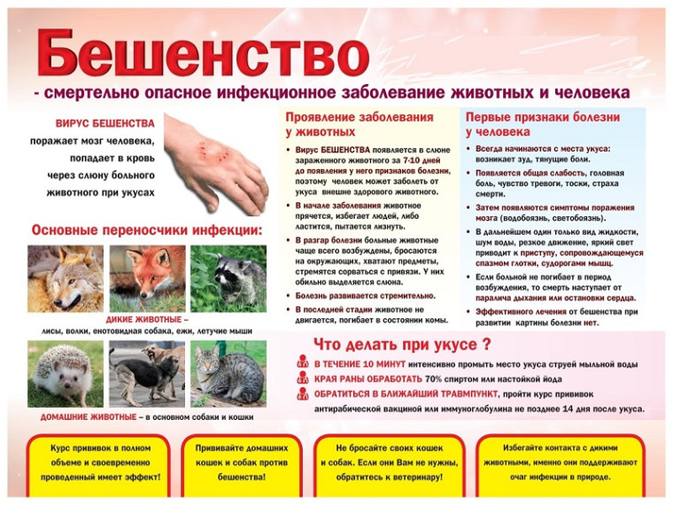 Уважаемые жители Станично-Луганского муниципального округа, в частности с. Красная Таловка!!! На территории с. Красная Таловка выявлен очаг особо опасного заболевания «бешенство», просим быть всех внимательными.. Уважаемые жители Станично-Луганского муниципального округа, в частности с. Красная Таловка!!! На территории с. Красная Таловка выявлен очаг особо опасного заболевания «бешенство», просим быть всех внимательными..