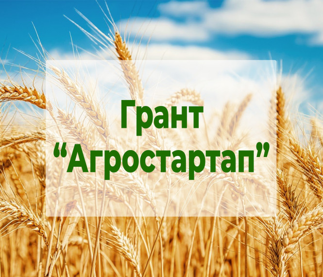 Меры поддержки молодых предпринимателей. Грант «Агростартап». Меры поддержки молодых предпринимателей. Грант «Агростартап».